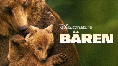 Bären 
