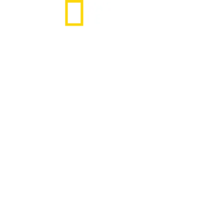 SS din interior