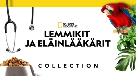 thumbnail - Lemmikit ja eläinlääkärit