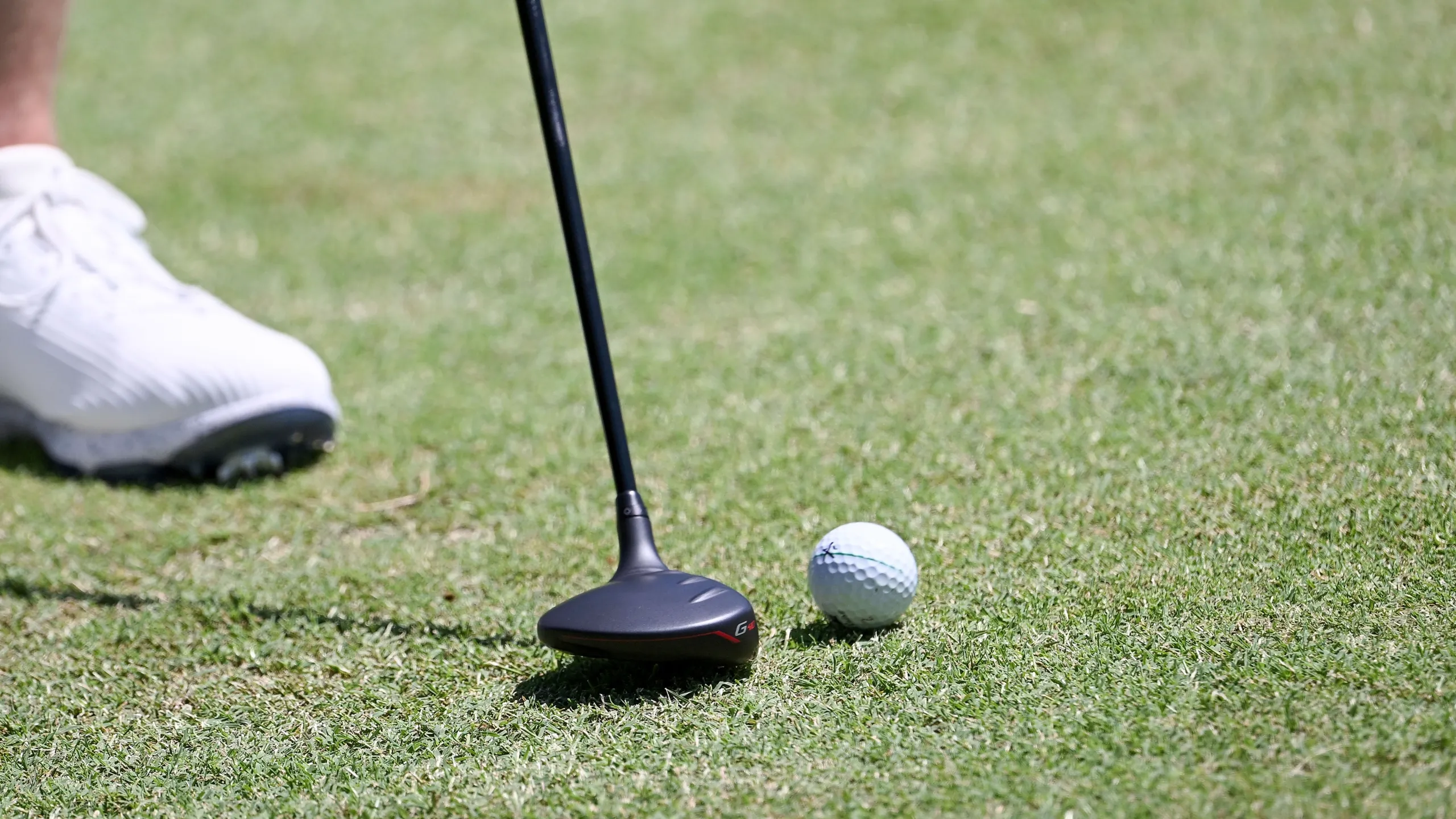 RBC Heritage: Main Feed (Segunda Ronda)