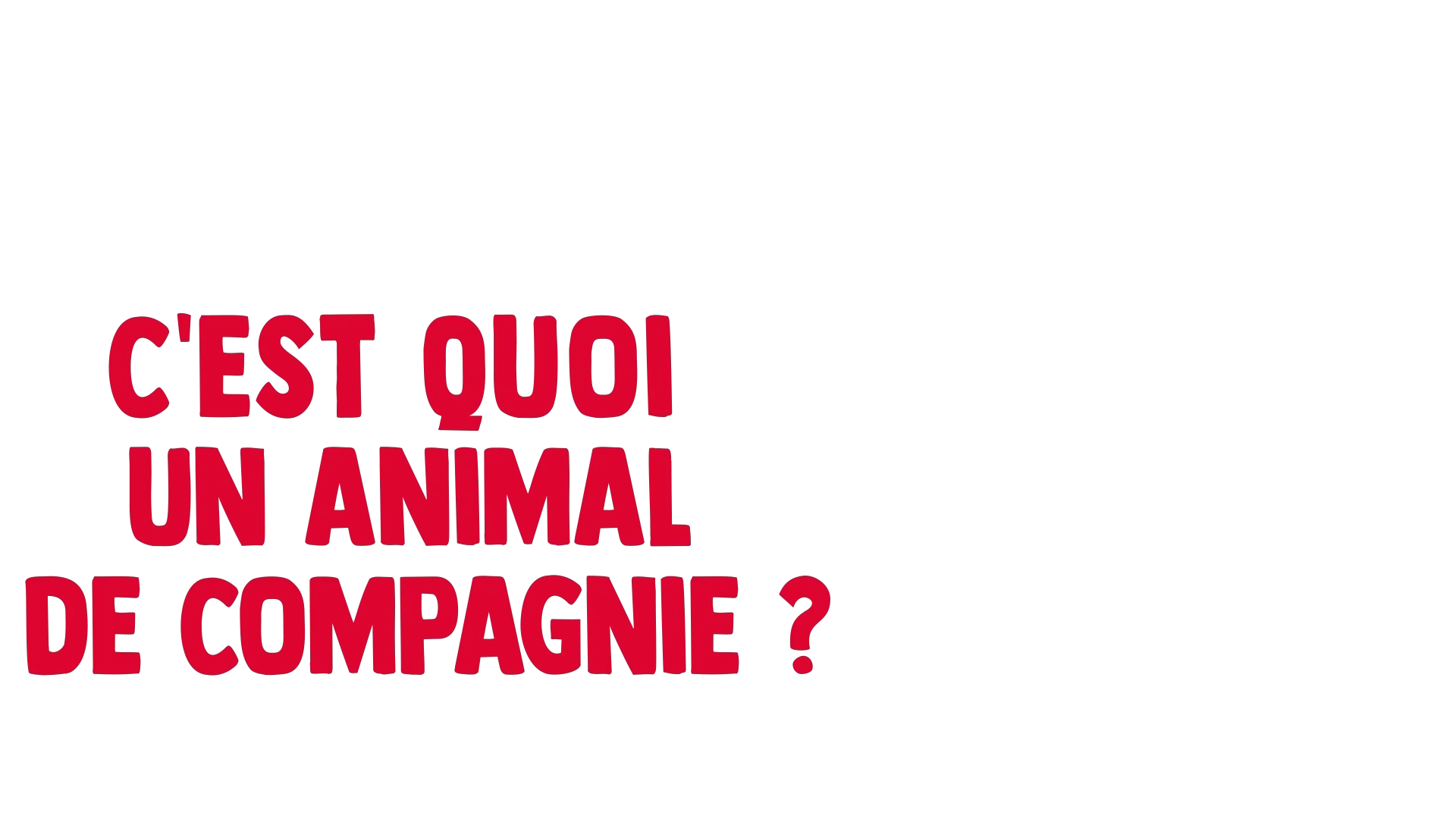 Fourchette se pose des questions : c'est quoi un animal de compagnie ?