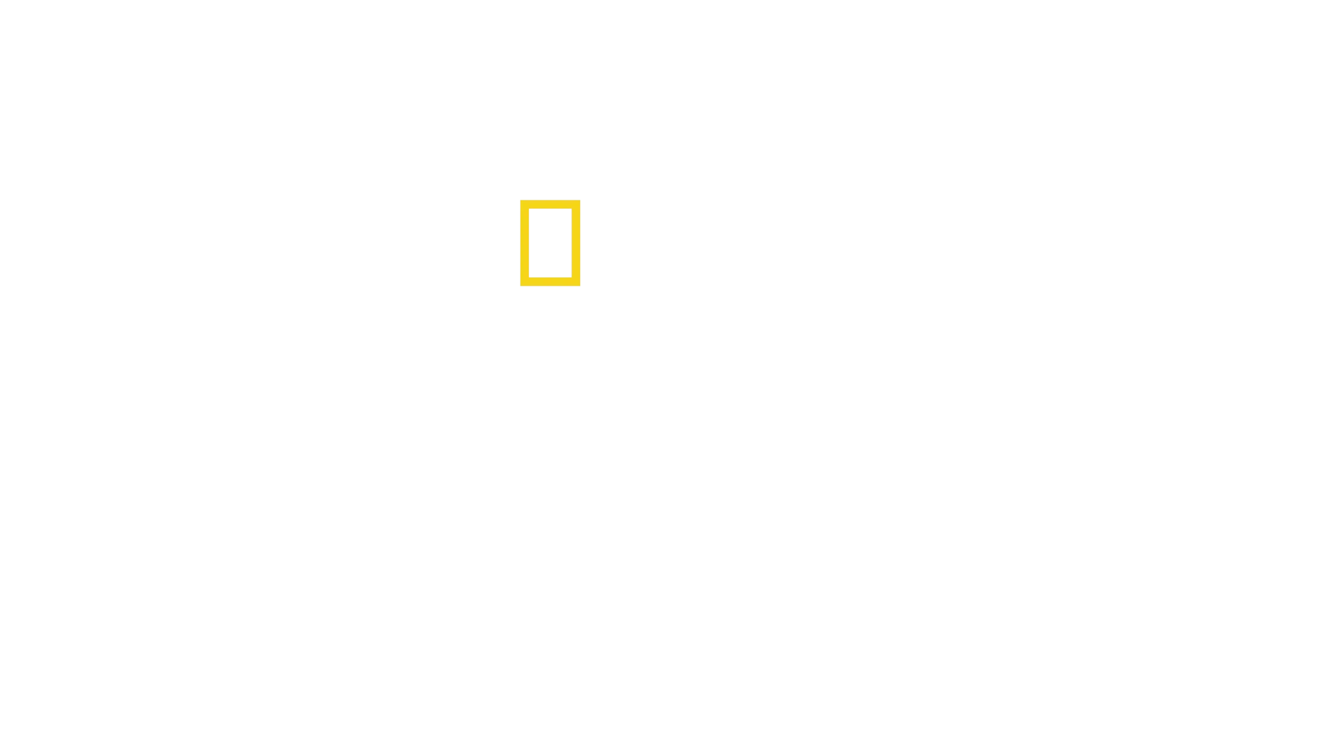 Kuchári bez hraníc