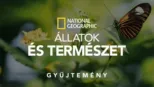 thumbnail - National Geographic – állatok és természet