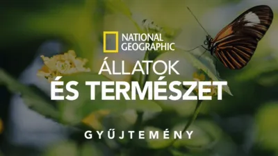 thumbnail - National Geographic – állatok és természet