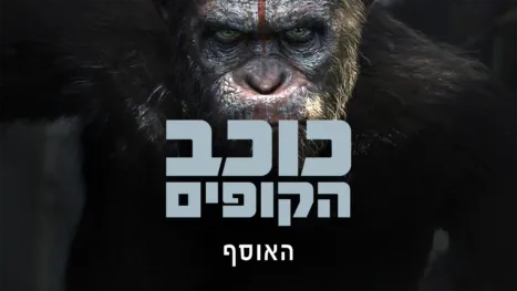 thumbnail - כוכב הקופים