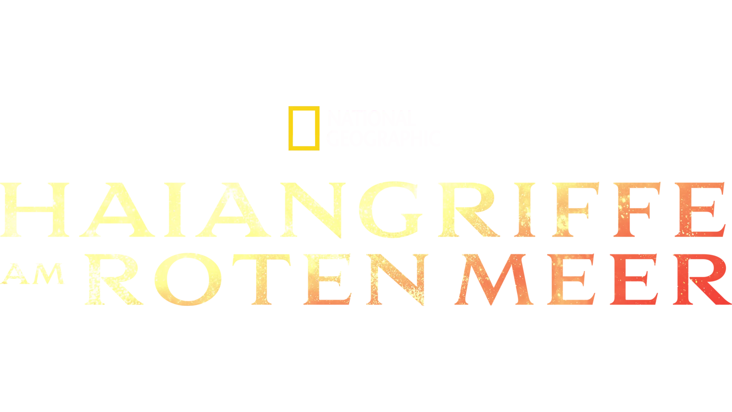 Haiangriffe am Roten Meer