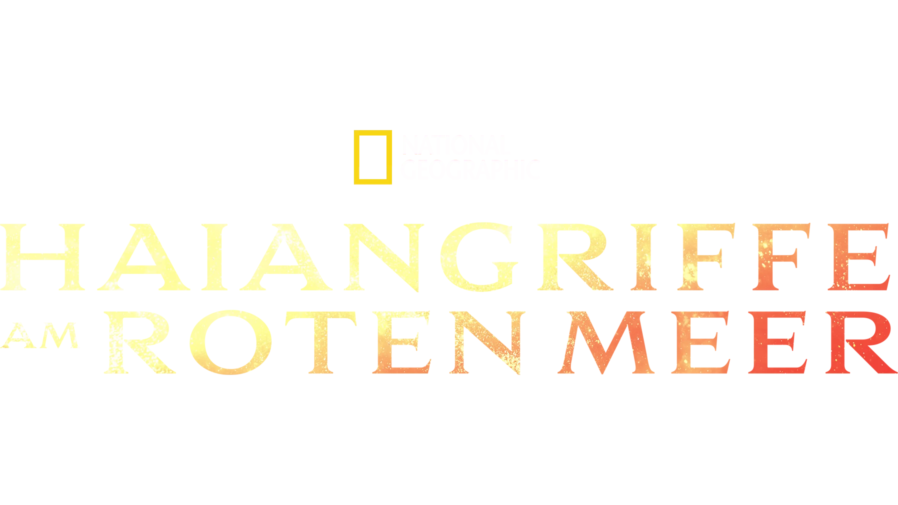 Haiangriffe am Roten Meer