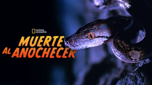 thumbnail - Muerte al anochecer