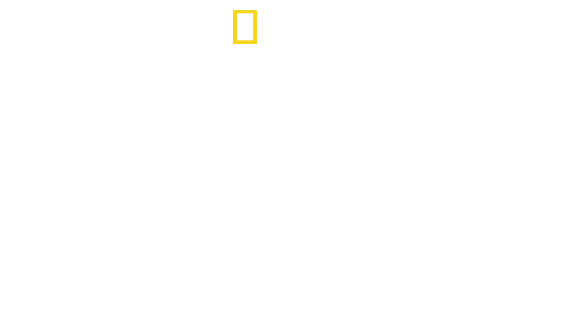 Hitler'in Son Direnişi