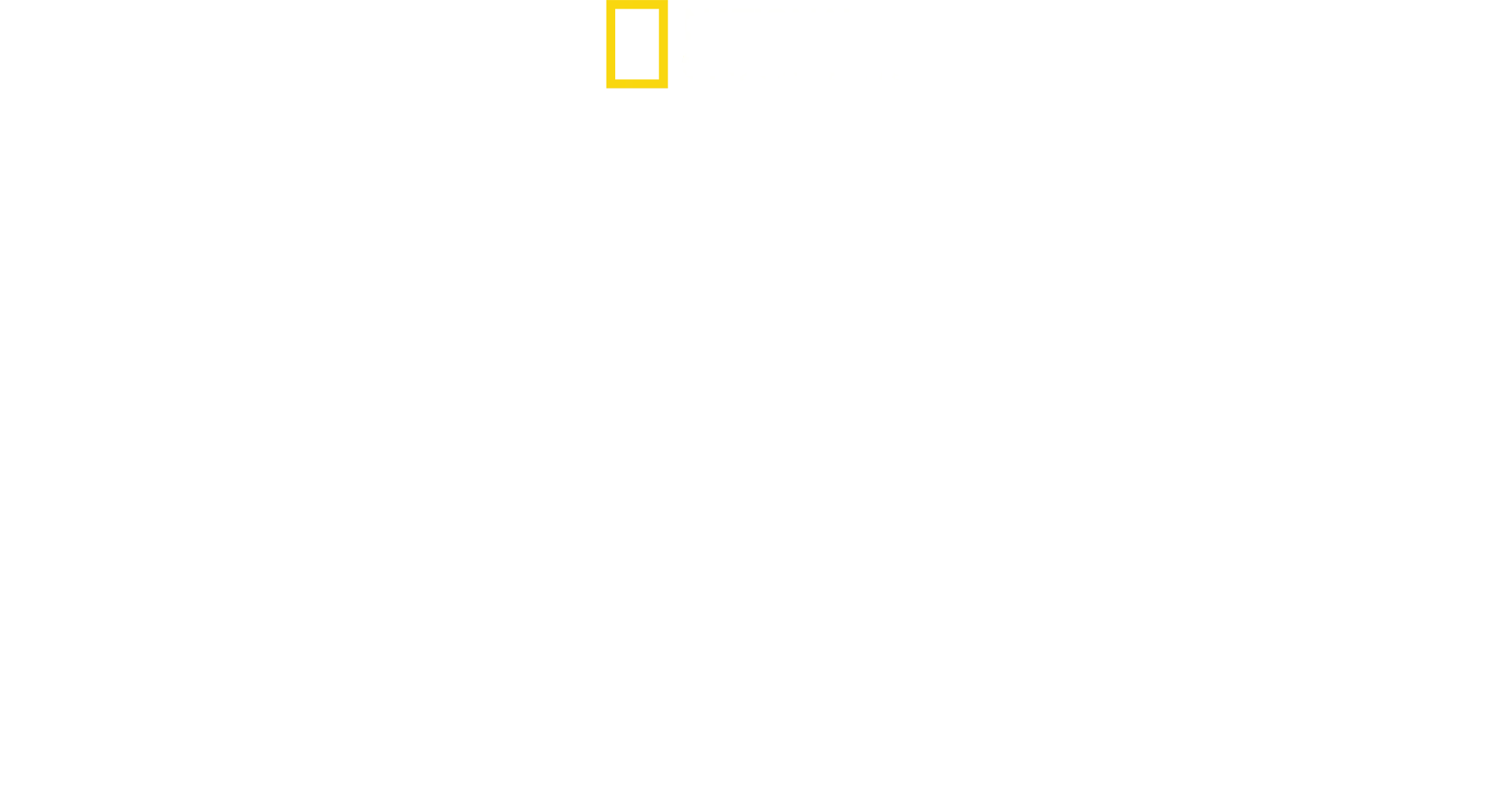 Hitler'in Son Direnişi