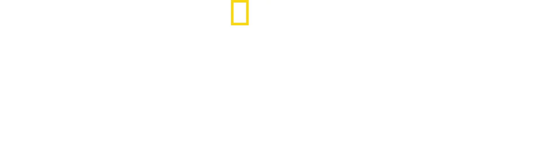 Treleopardene er tilbake