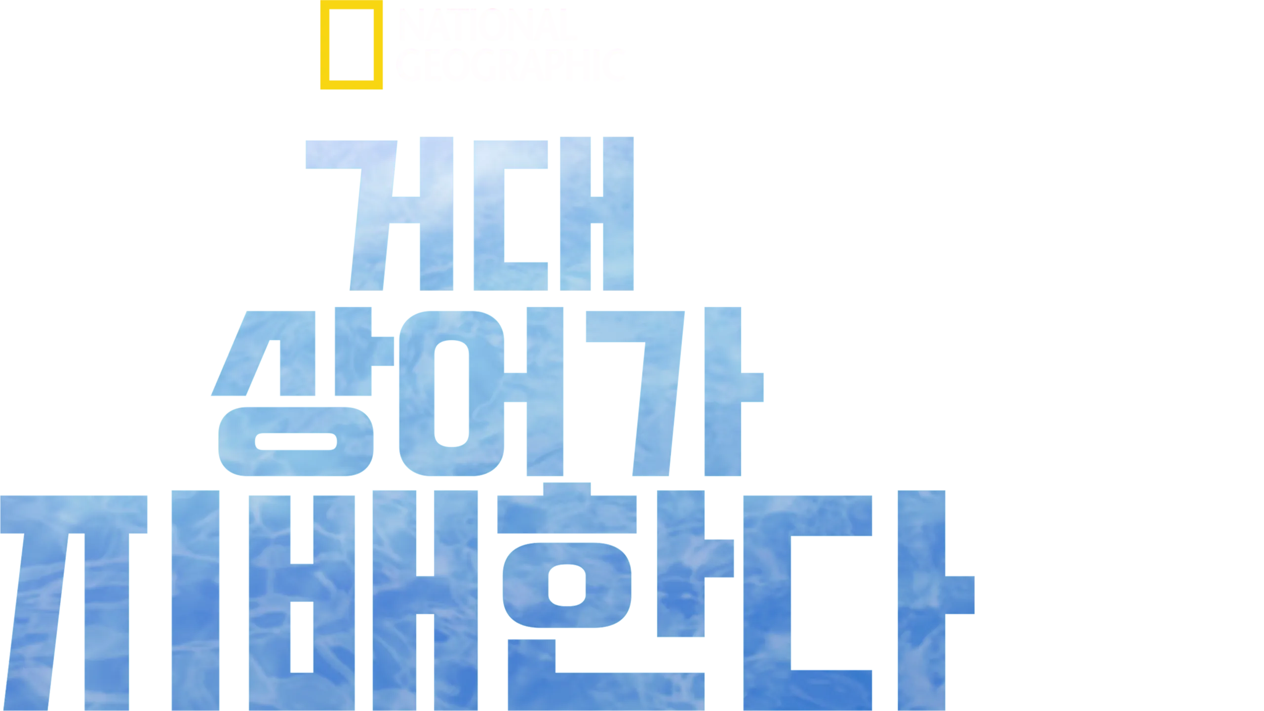 거대 상어가 지배한다