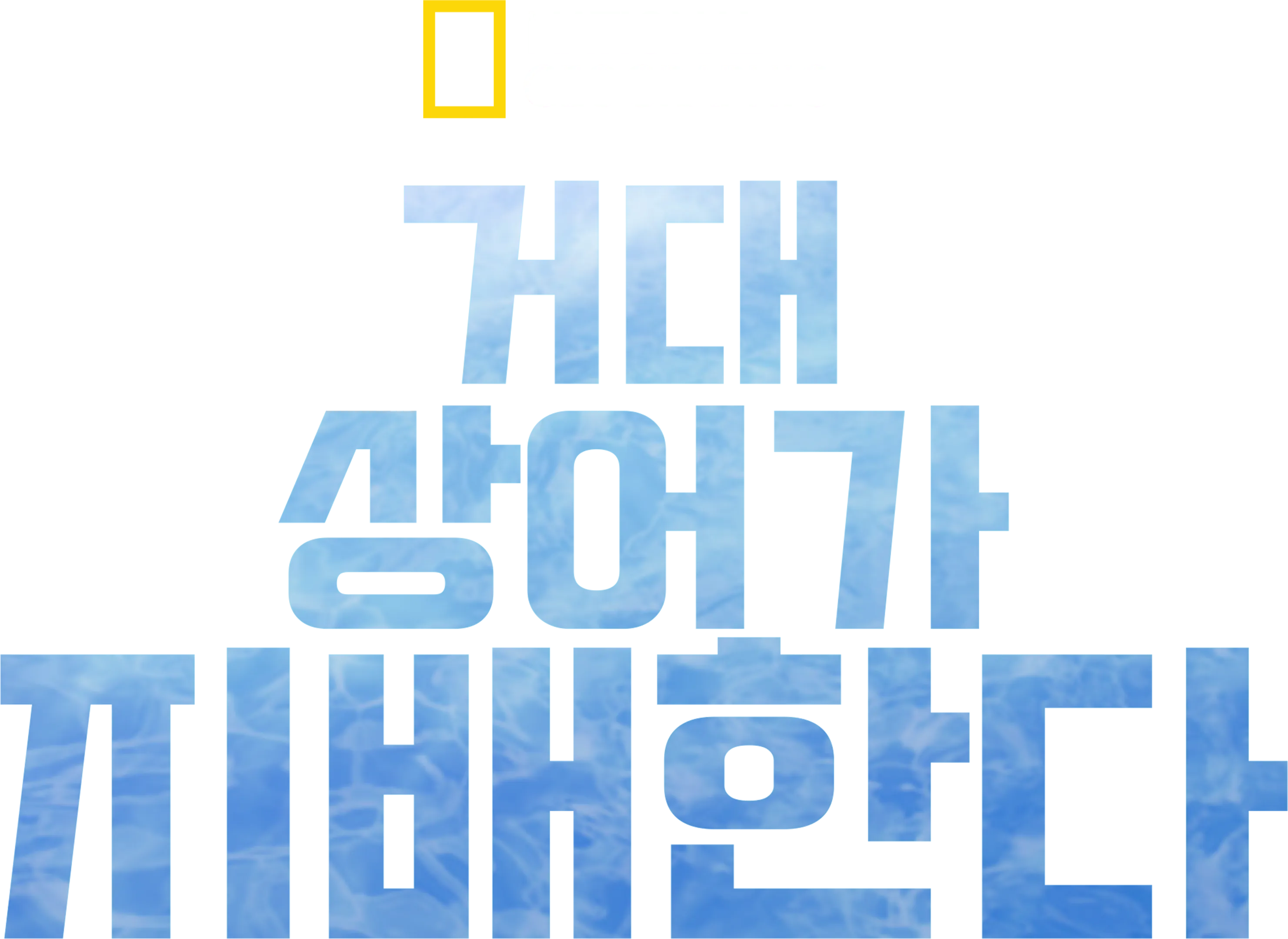 거대 상어가 지배한다