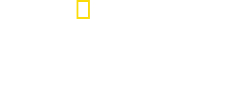 상어 공격 조사: 페이지 윈터 이야기