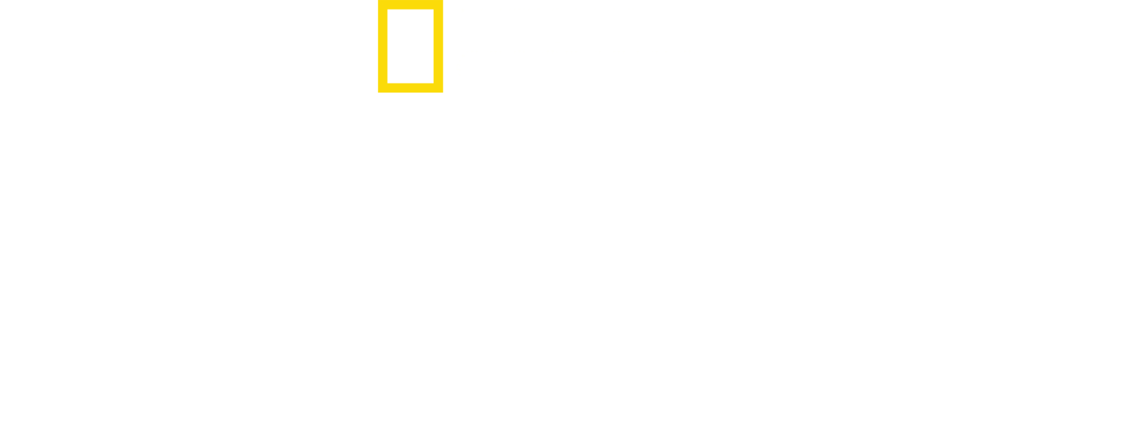 상어 공격 조사: 페이지 윈터 이야기