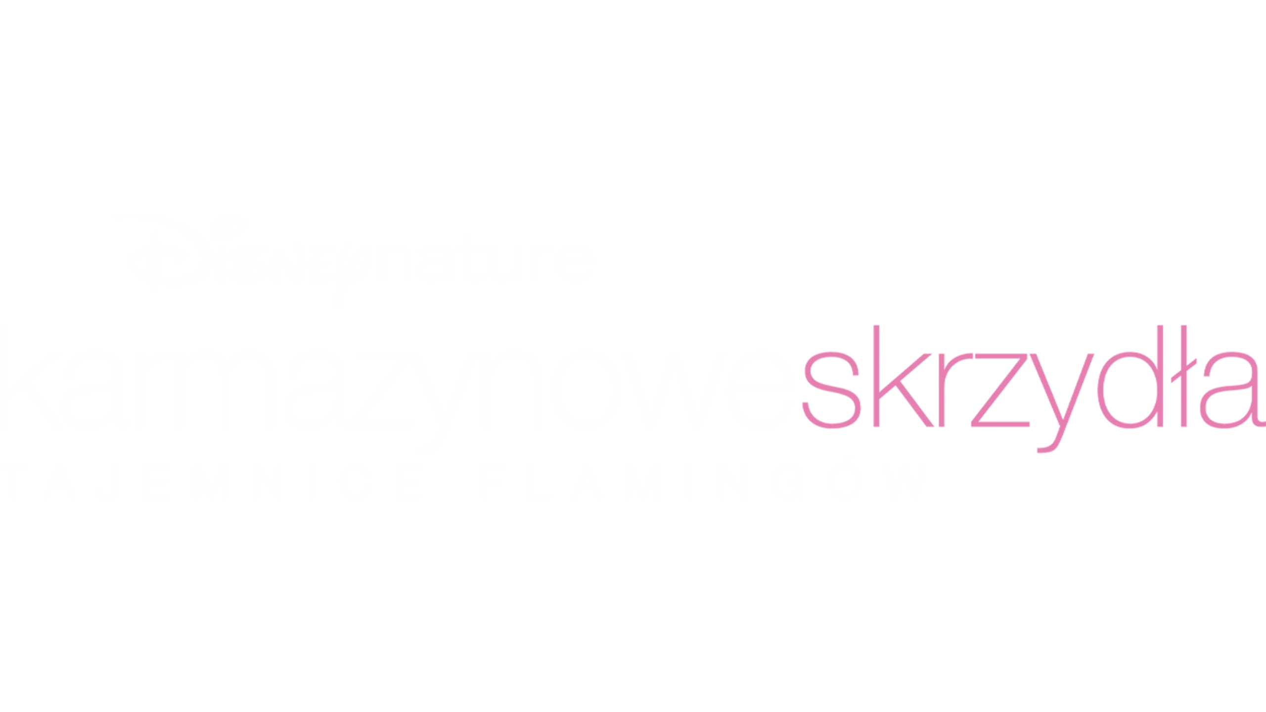 Karmazynowe skrzydła: Tajemnice flamingów