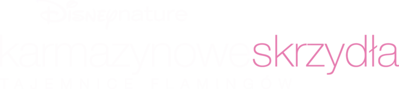 Karmazynowe skrzydła: Tajemnice flamingów