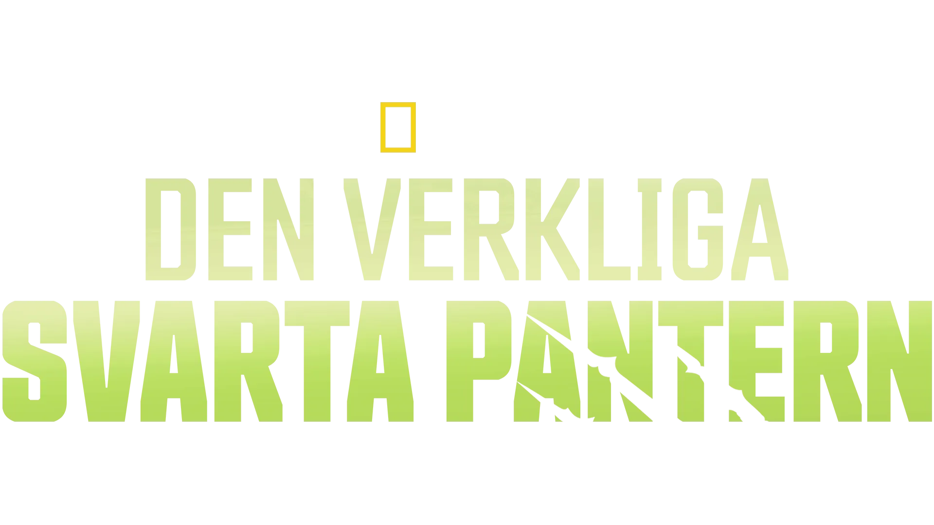 Den verkliga svarta pantern