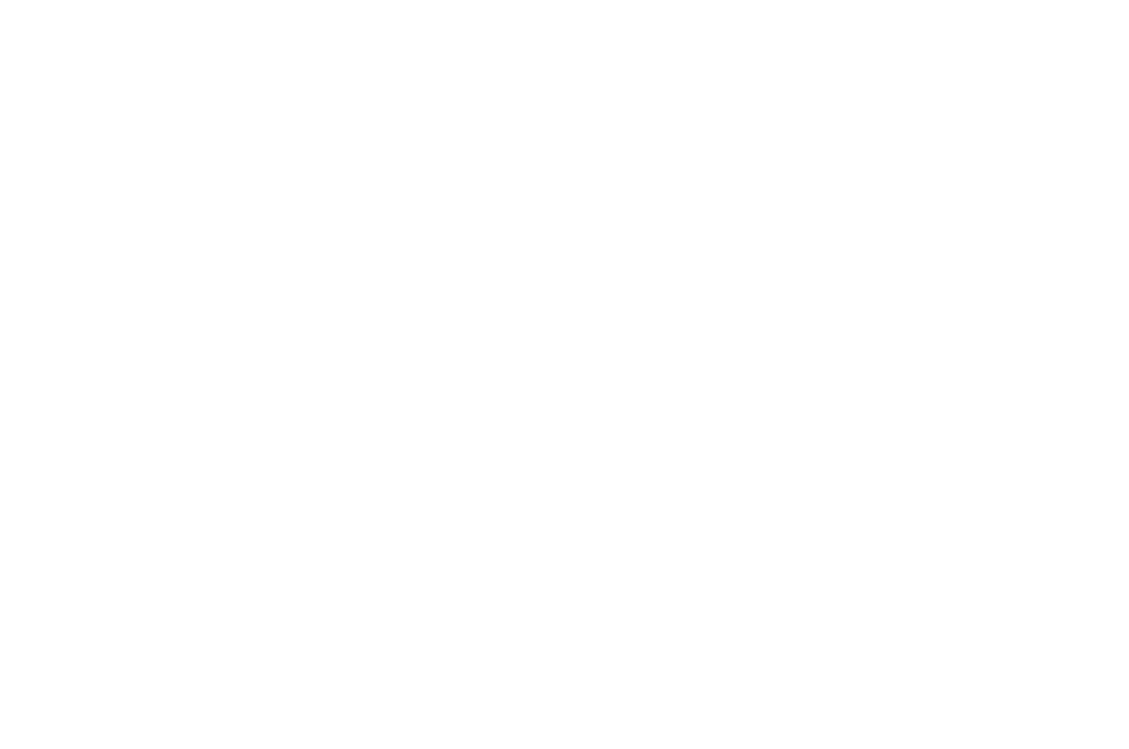 Šéf