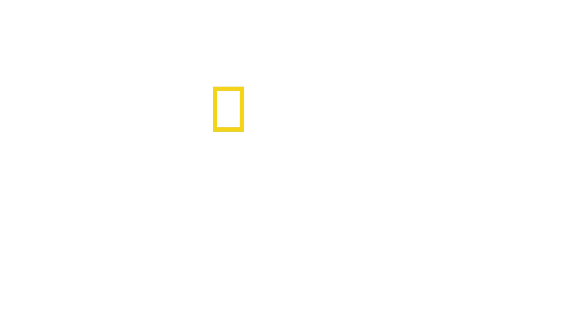 Alimentando al Mundo