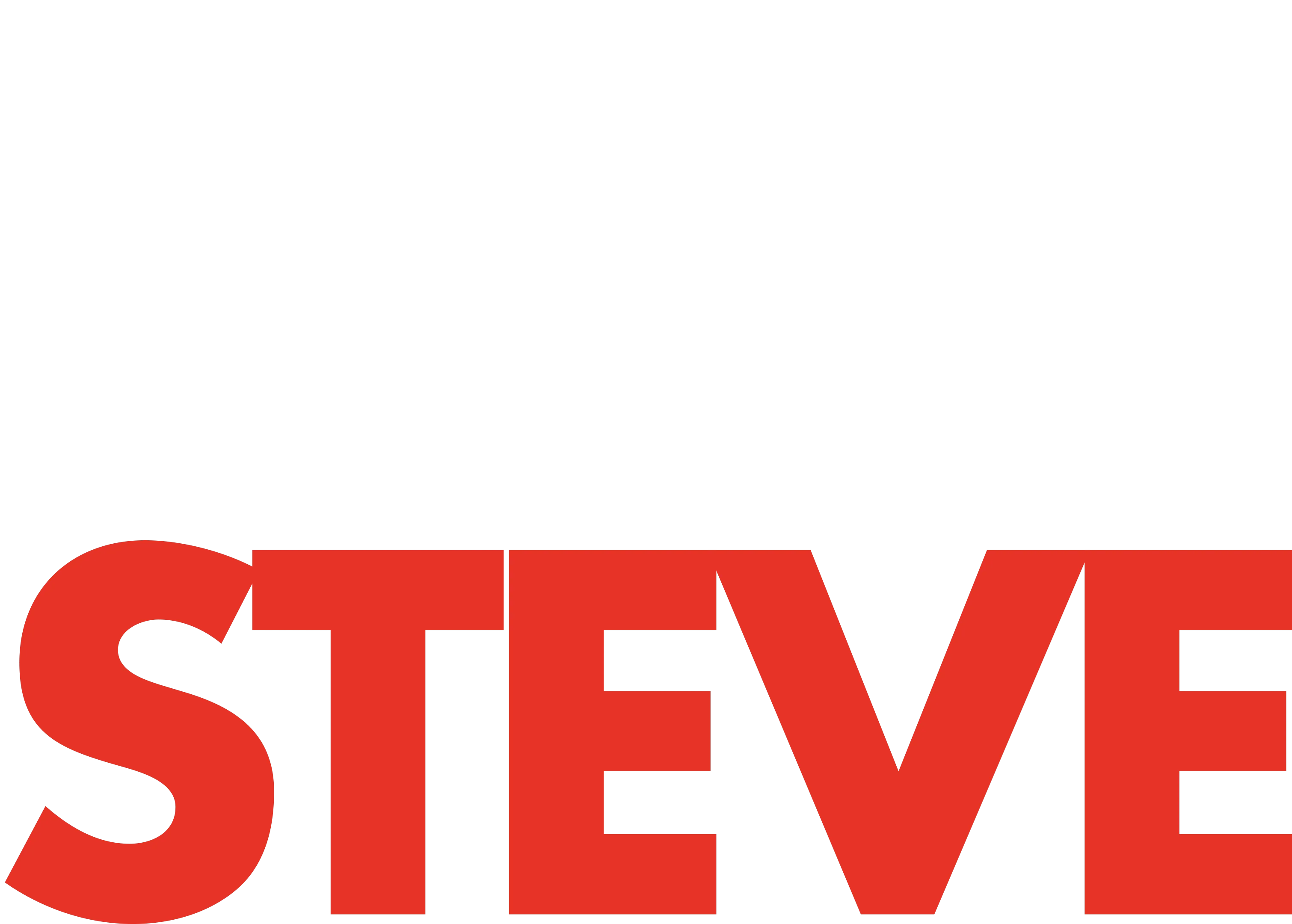 All About Steve