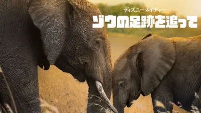 ディズニーネイチャー／ゾウの足跡を追って