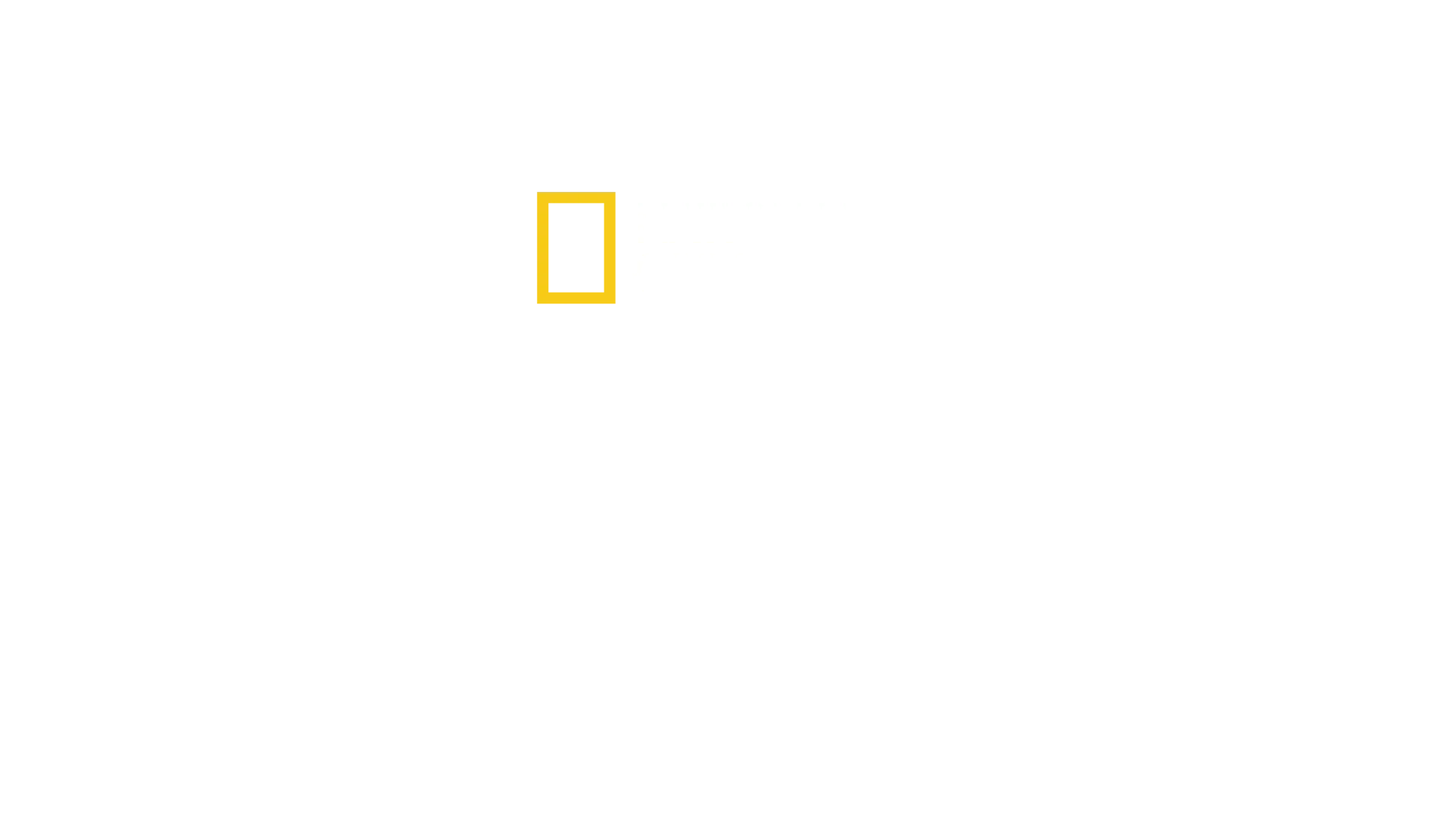 Teritorium