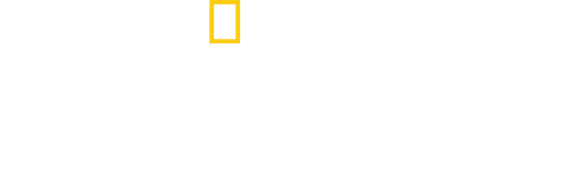 Teritorium
