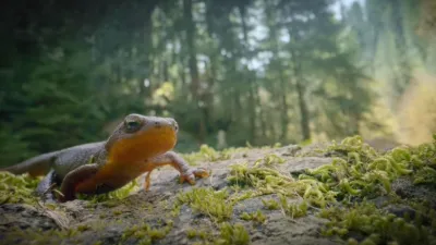 thumbnail - S1:E3 Alaska's River Race