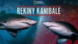thumbnail - Rekiny kanibale