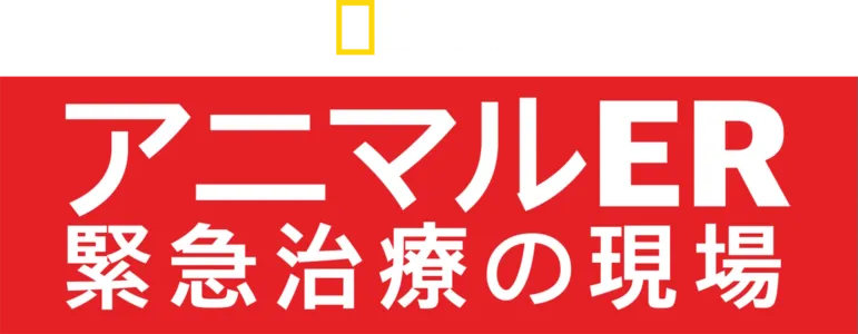 アニマルER 緊急治療の現場