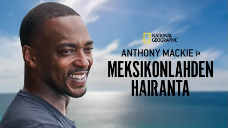 thumbnail - Shark Beach with Anthony Mackie: Gulf Coast