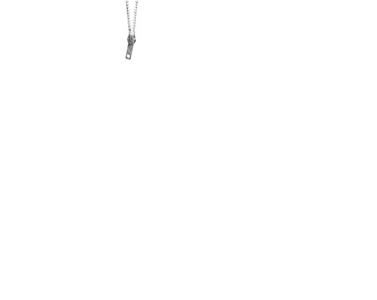 光豬六壯士