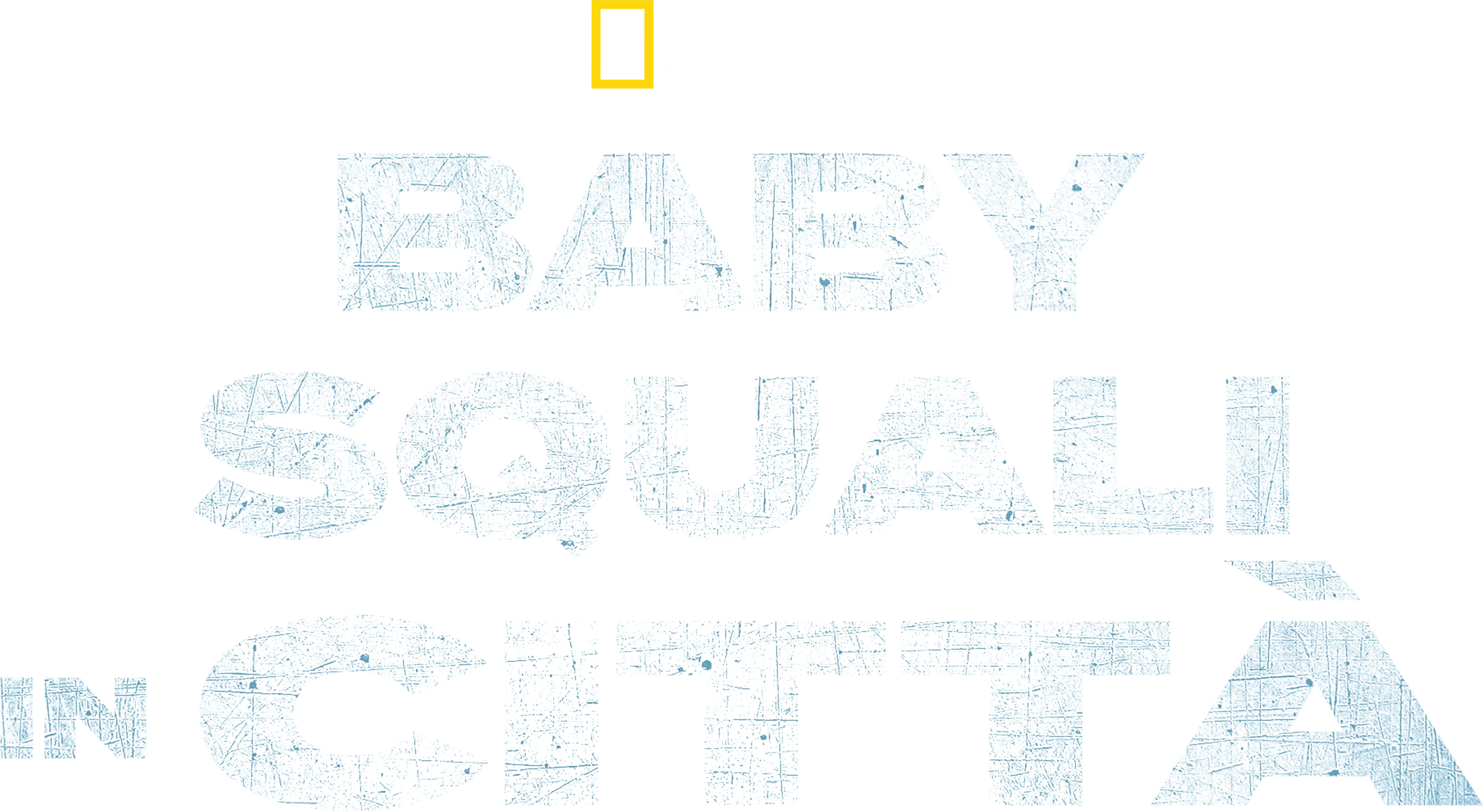 Baby Squali in Città