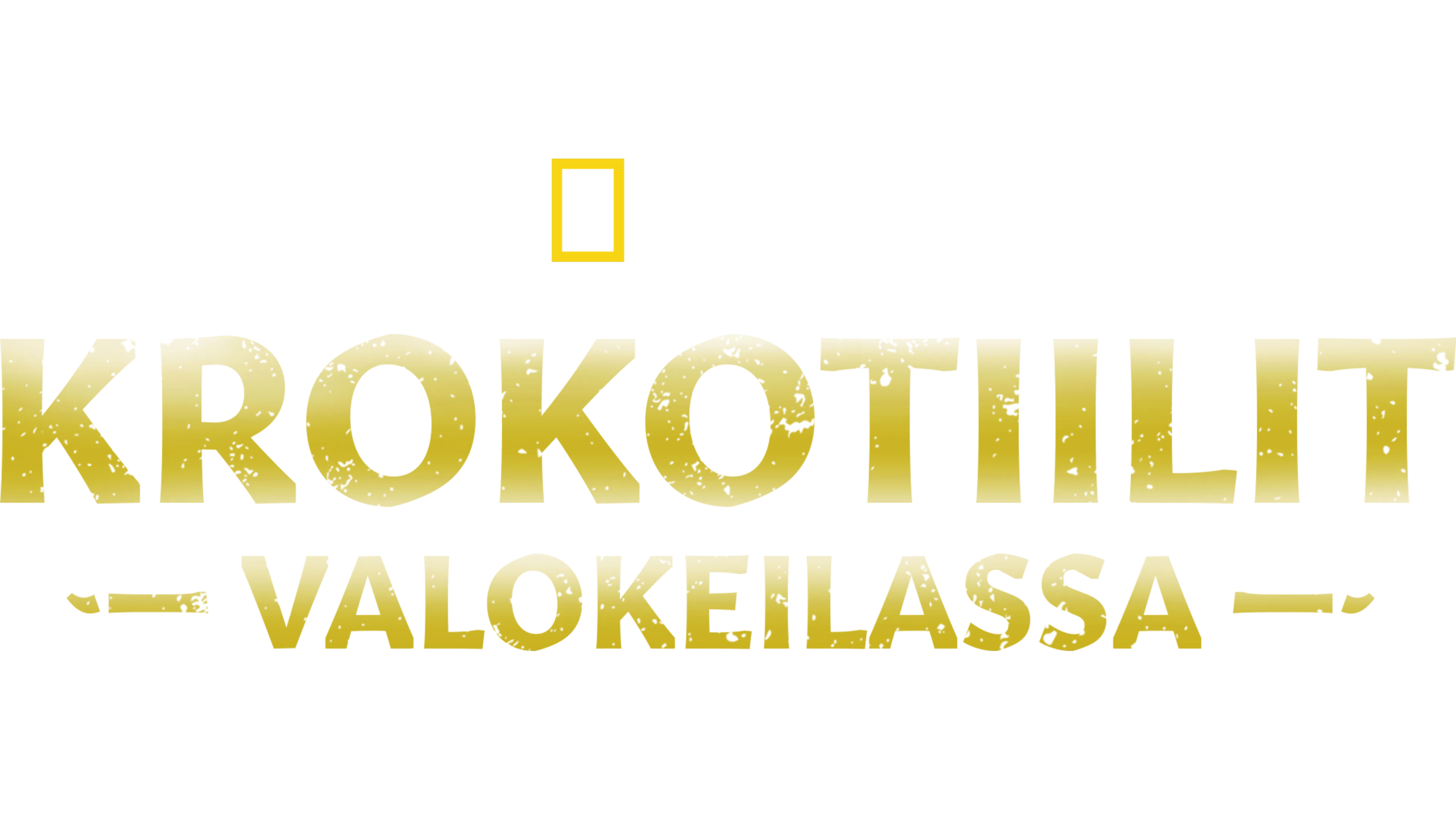 Krokotiilit valokeilassa