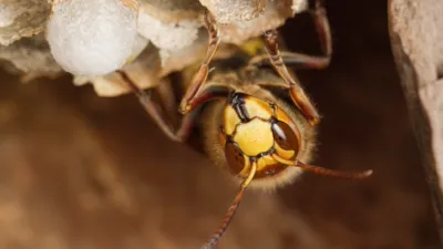 thumbnail - S1:E2 Seasonal