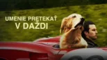 thumbnail - Umenie pretekať v daždi