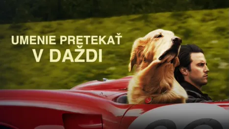 thumbnail - Umenie pretekať v daždi