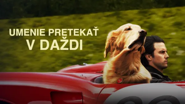 thumbnail - Umenie pretekať v daždi