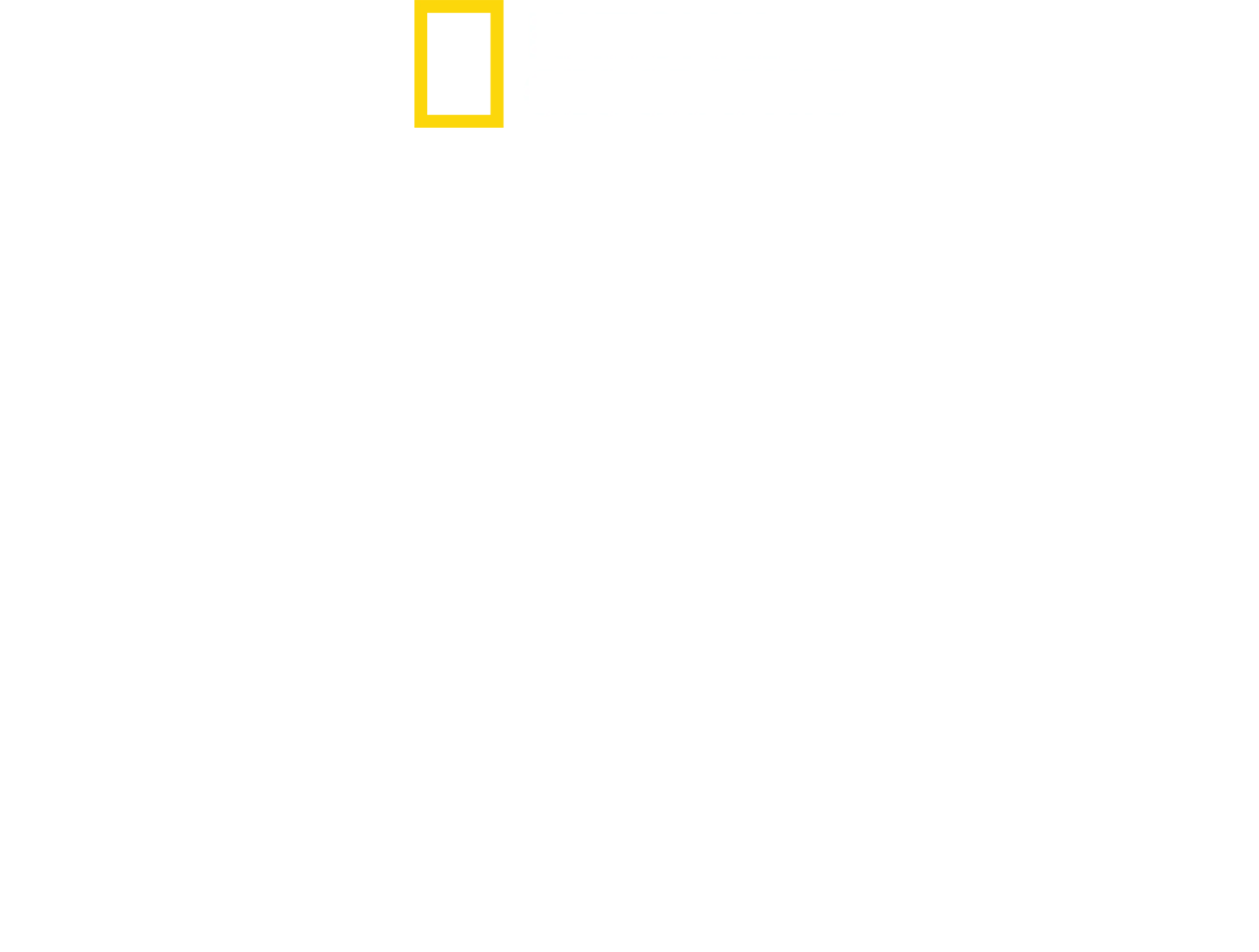 D-Day：知られざる英雄たち