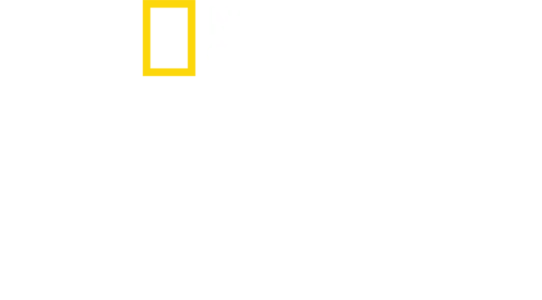 Zaginione miasta