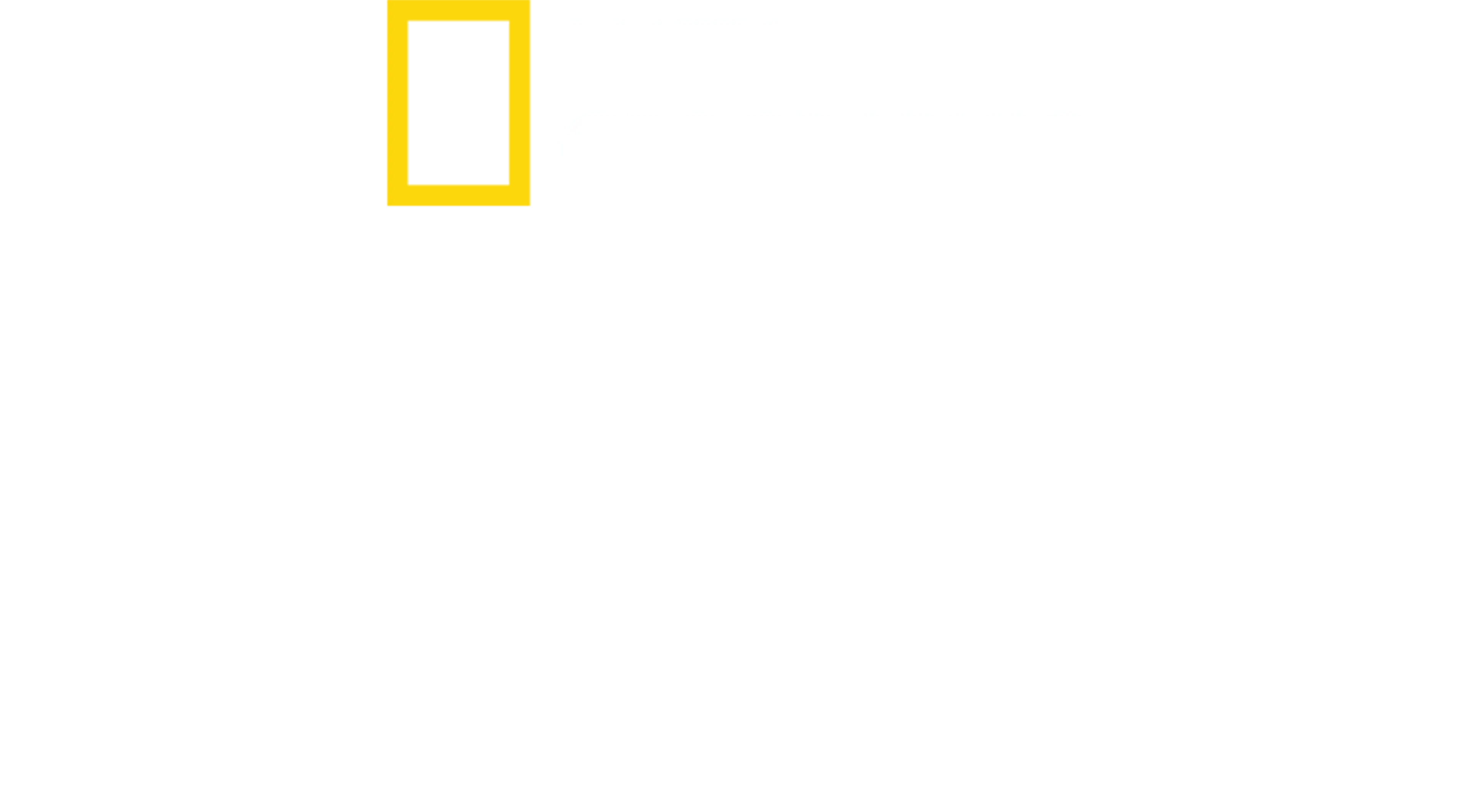 Zaginione miasta