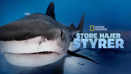 thumbnail - Store hajer styrer
