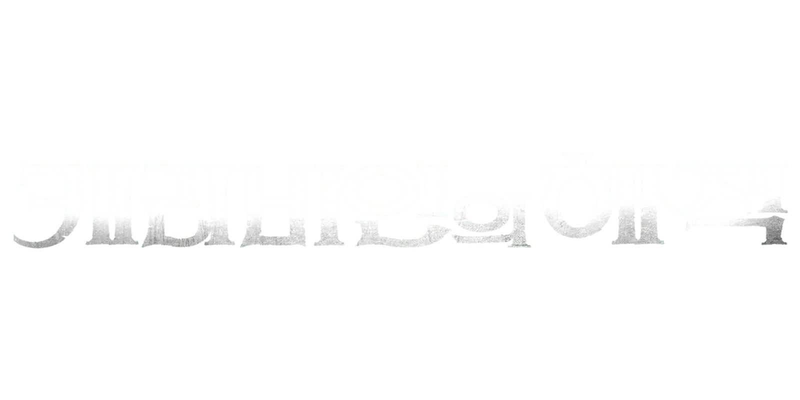 캐리비안의 해적