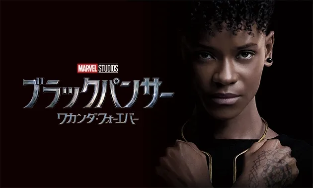 Black Panther Wakanda Forever