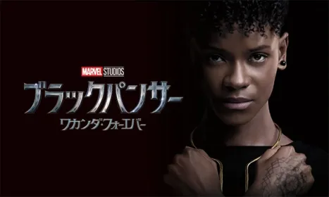Black Panther Wakanda Forever