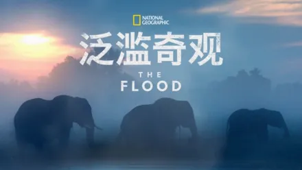 thumbnail - 泛滥奇观