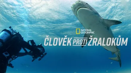 thumbnail - Člověk proti žralokům
