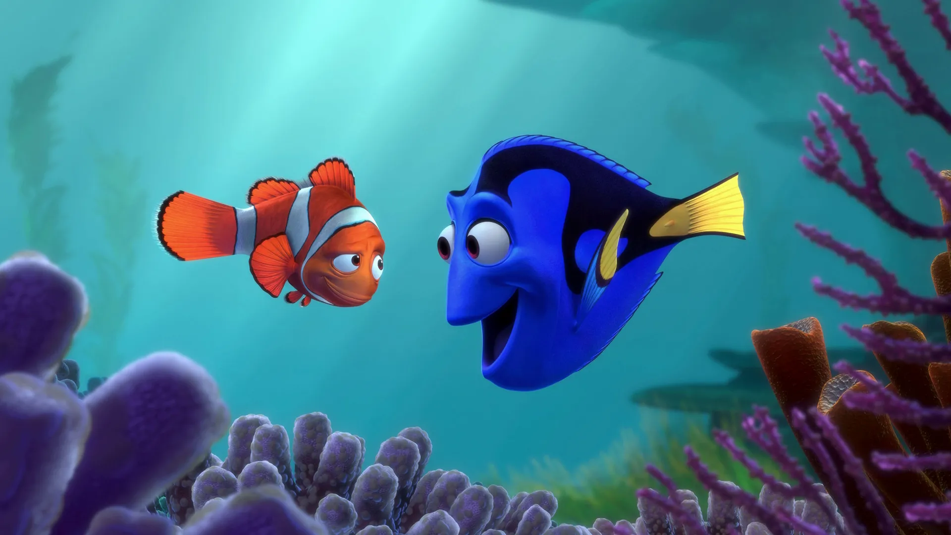 Marlin looks at Dory as Dory looks excited