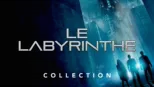 thumbnail - Le Labyrinthe